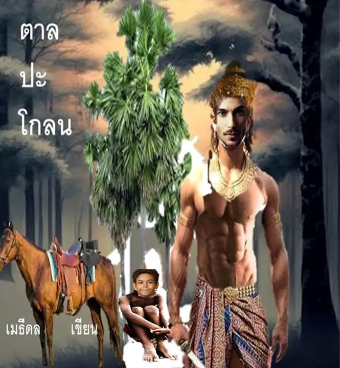 ปกนิยาย