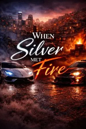 ปกนิยาย When Silver Met Fire
