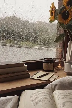 ปกนิยาย 《Mashle》Honey in the Rain | หยาดน้ำผึ้งกลางสายฝน ☔️🍯 | [ Rayne x oc ]