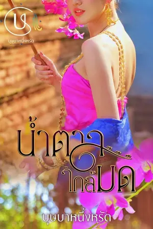 ปกนิยาย