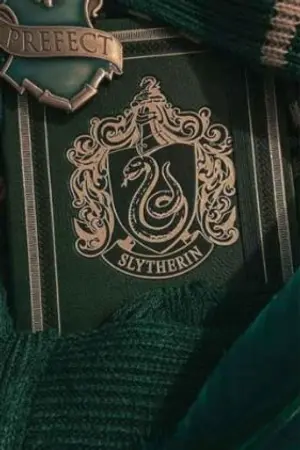 ปกนิยาย ของต้องห้ามมัลฟอยHarry potter