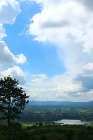 ปกนิยาย #ถึงคุณที่ชอบปิดหน้า