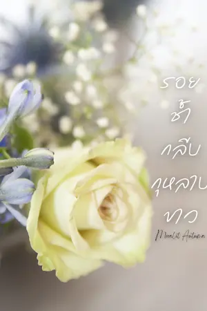 ปกนิยาย