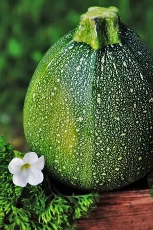 ปกนิยาย จางลี่จู