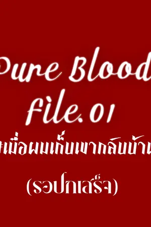 ปกนิยาย Pureblood File. 01 #เมื่อผมเก็บเขากลับบ้าน