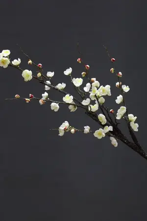 ปกนิยาย หนึ่งก้าวย่างนางสะท้านแผ่นดิน