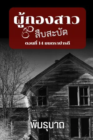 ปกนิยาย ผู้กองสาวสืบสะบัด ตอนที่ 14 : มนตราปารตี