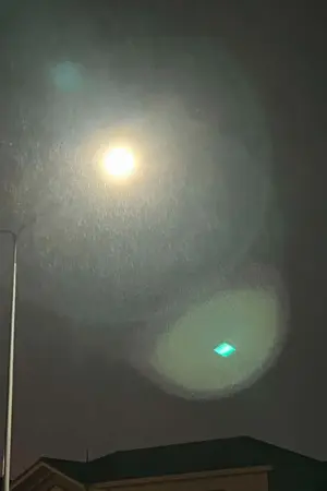 ปกนิยาย Not alone