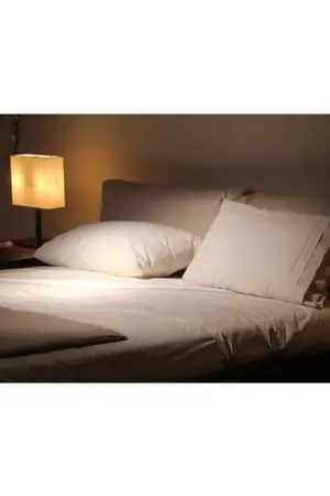 ปกนิยาย ชันดาไม่เทครัว