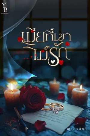 ปกนิยาย เมียที่เขาไม่รัก | มีEbook