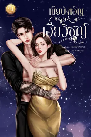 ปกนิยาย เมียบังเอิญของเฮียวิชญ์