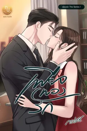 ปกนิยาย เพียง (พอ) รัก