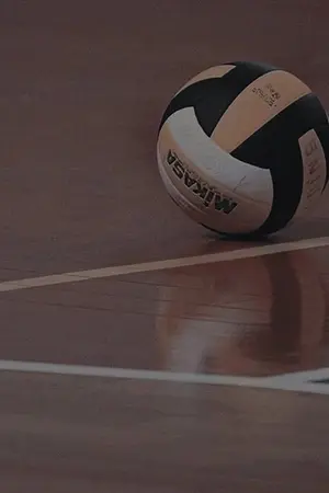 ปกนิยาย เสิร์ฟหัวใจ ไปให้ถึงฝัน (Set Me Free, Spike My Heart)