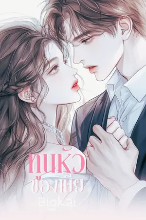 ปกนิยาย ทูนหัวของเมีย