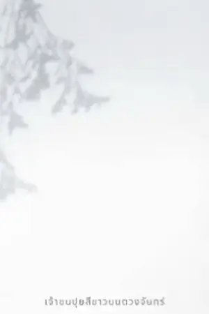 ปกนิยาย Sunshine in the Rain แสงแดดในสายฝน