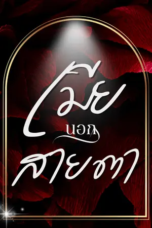 ปกนิยาย เมียนอกสายตา.