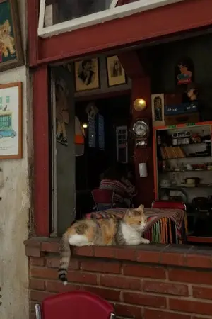 ปกนิยาย บัวครองแชมป์