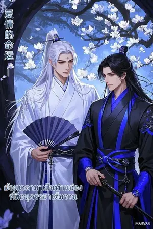 ปกนิยาย ย้อนเวลามาเป็นท่านอ๋องที่มีอนุภรรยาเต็มจวน