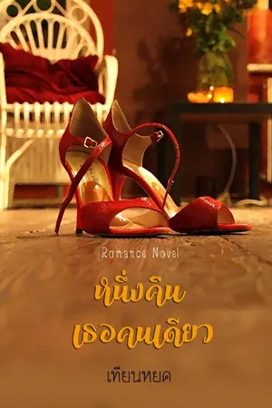 ปกนิยาย หนึ่งคืนเธอคนเดียว