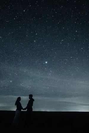 ปกนิยาย แสงจันทร์ซ่อนเงาใจ