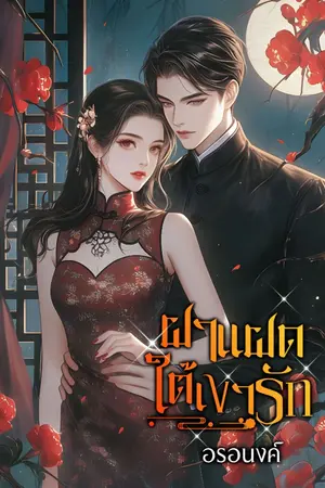 ปกนิยาย ฝาแฝดใต้เงารัก