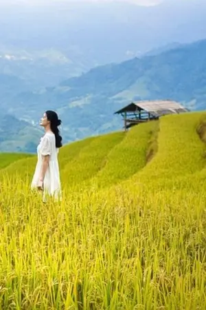 ปกนิยาย ทะลุมิติตื่นมาเป็นพี่สาวสายลุย สร้างอาชีพเลี้ยงน้องสู่ตำแหน่งจอหงวน