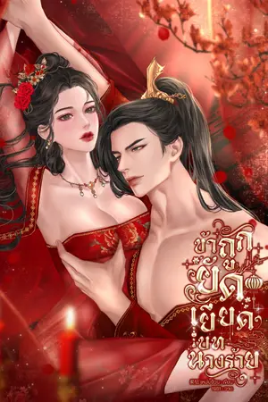 ปกนิยาย ข้าถูกยัดเยียดบทนางร้าย |มีอีบุ๊ค
