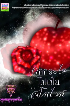 ปกนิยาย ตกกระไดไปเป็นสโนไวท์