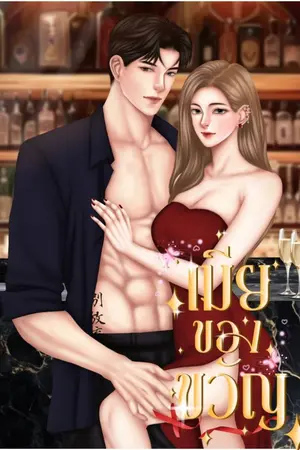 ปกนิยาย เมียของขวัญ 25+