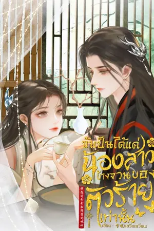 ปกนิยาย ข้าเป็นได้แค่น้องสาวข้างจวนของตัวร้ายเท่านั้น