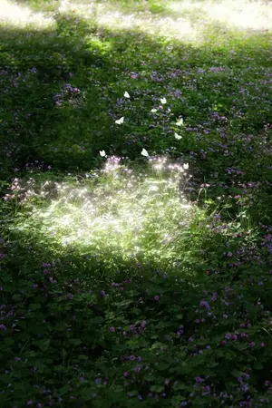 ปกนิยาย Fiction Attack on titan — ตราบเพียงชั่วขณะที่เราพบกัน.