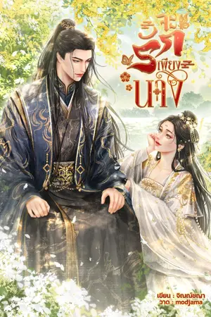 ปกนิยาย จะรักเพียงนาง