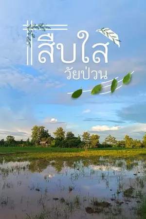 ปกนิยาย สืบใสวัยป่วน