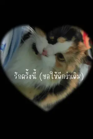 ปกนิยาย รักครั้งนี้ (ขอให้ดีกว่าเดิม)