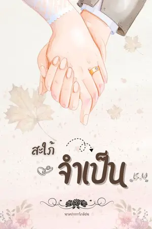 ปกนิยาย สะใภ้จำเป็น ( พระพายพระแพง )