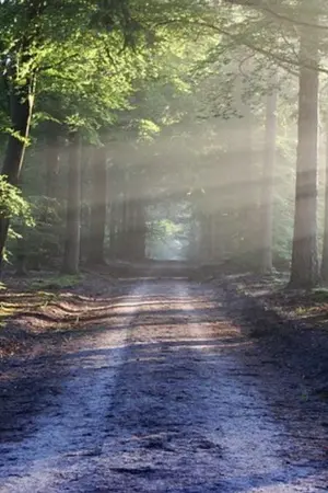 ปกนิยาย ไร้เหตุผลบนคำว่ารัก-bl