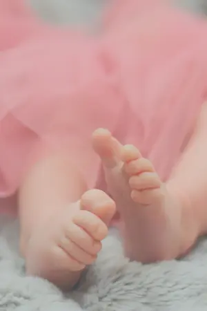 ปกนิยาย โซ่รักนางฟ้า