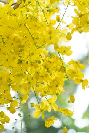 ปกนิยาย บรรจบที่รัก