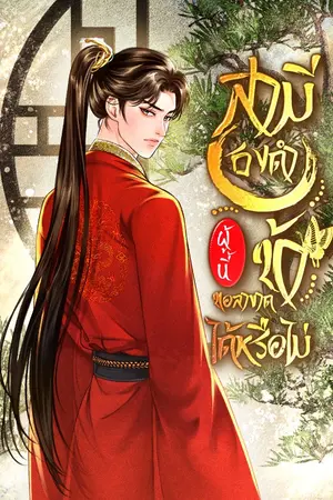ปกนิยาย สามีธงดำผู้นี้ข้าขอลาขาดได้หรือไม่?