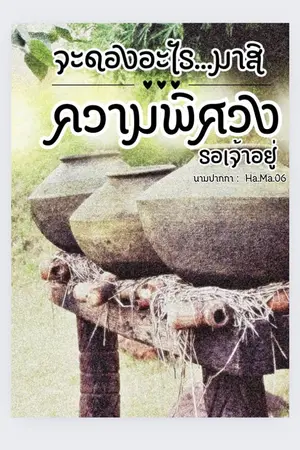 ปกนิยาย จะดองอะไร...มาสิมา...ความพิศวงรอเจ้าอยู่