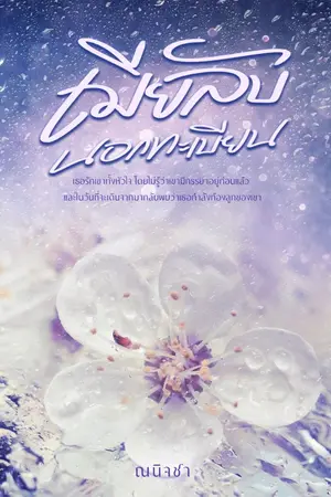 ปกนิยาย เมียลับนอกทะเบียน