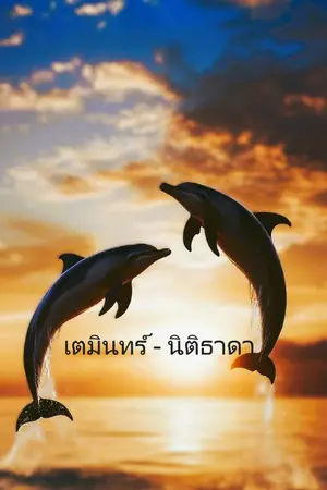 ปกนิยาย เตมินทร์-นิติธาดา