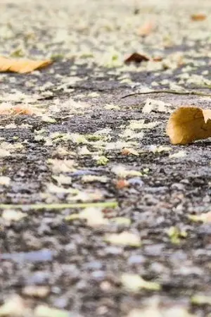 ปกนิยาย พ่อคู๊ณ!! จะเอาอะไรกับคนอย่างกูว์!