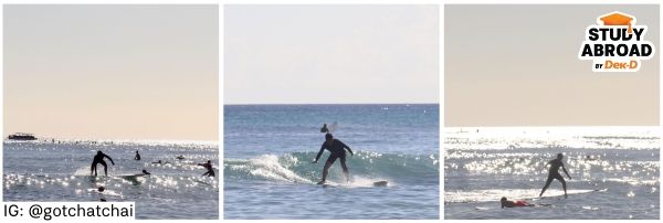 ใครมาฮาวายแล้วไม่ลองเล่น Surfing เสียดายมาก!