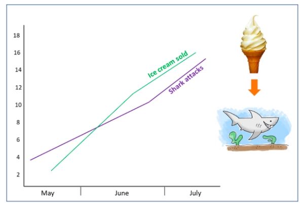 Credit: Sara Cameron
