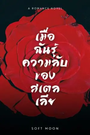 ปกนิยาย เมื่อฉันรู้ความลับของสเตลเลีย