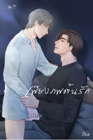 ปกนิยาย เพียงภพต้นรัก
