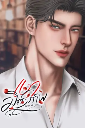 ปกนิยาย เงามิตรภาพ