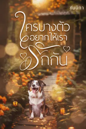 ปกนิยาย ใครบางตัวอยากให้เรารักกัน(จบแล้วE-book)