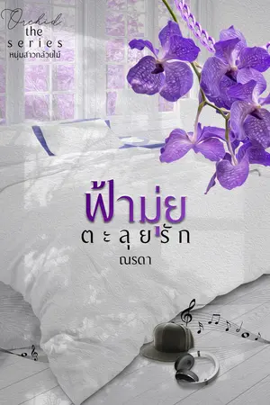 ปกนิยาย ฟ้ามุ่ยตะลุยรัก